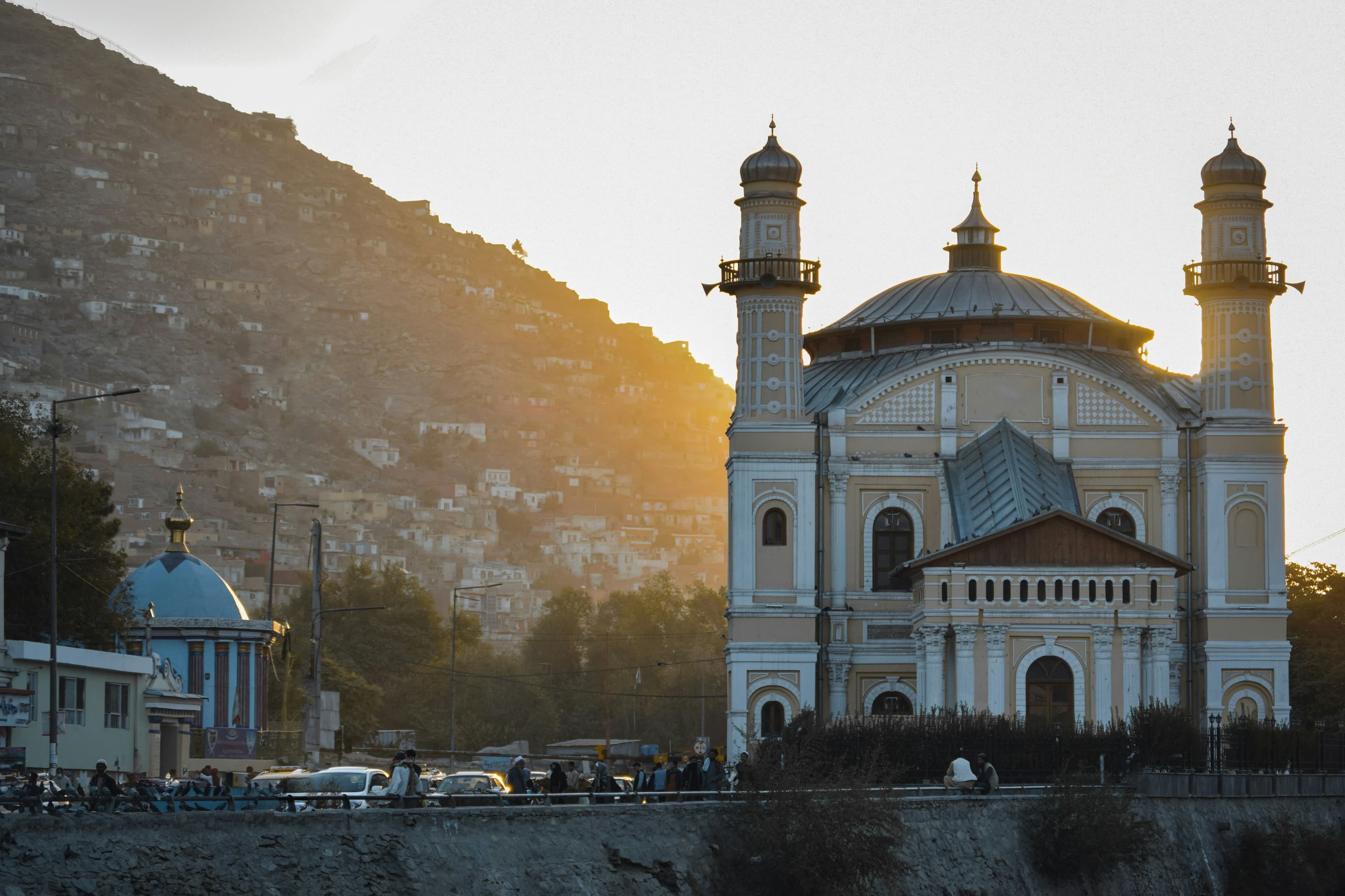 Afghan Youth Coalition (AYC)